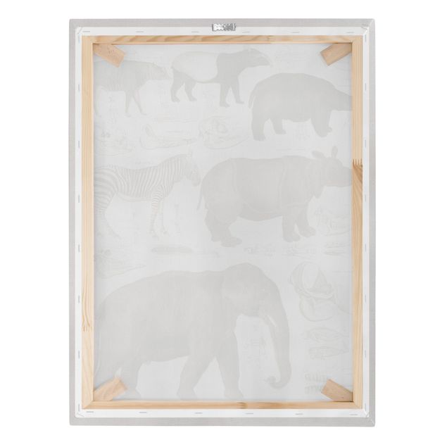Quadri su tela con zebre Bacheca Vintage Elefante, zebra e rinoceronte