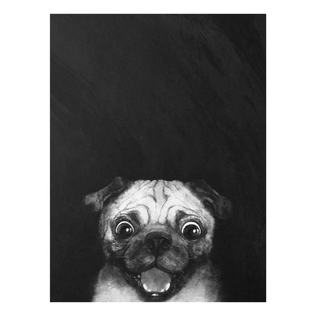 Quadri bianco e nero Illustrazione - cane carlino pittura su bianco e nero