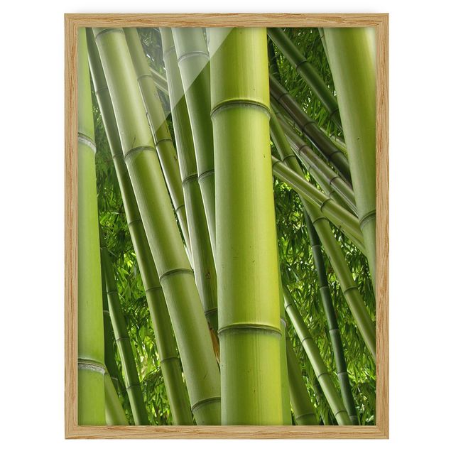Quadri moderni   Alberi di bambù n.2
