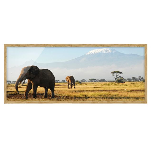Quadri con cornice con paesaggio Elefanti di fronte al Kilimangiaro in Kenya