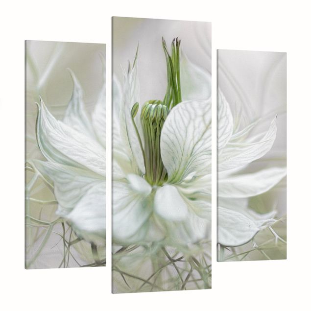 Quadri floreali moderni Nigella bianca
