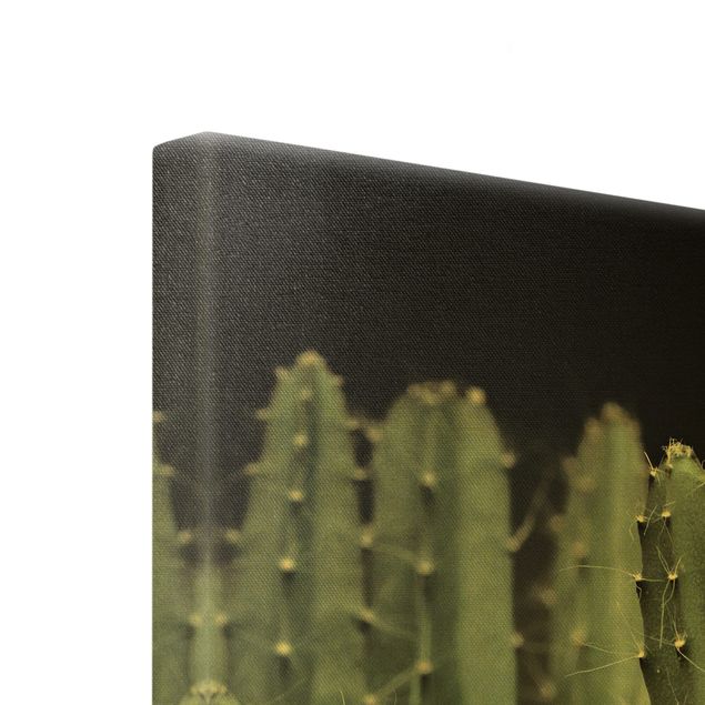 Quadro su tela oro - Cactus del deserto nella notte