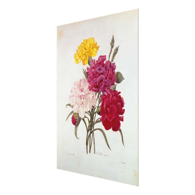 Quadri con fiori Pierre Joseph Redoute - Chiodi di garofano
