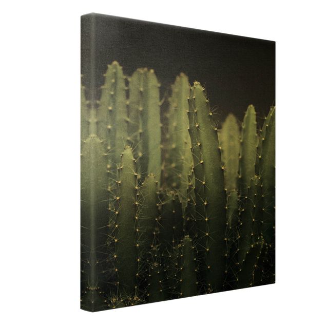 Stampe su tela Cactus del deserto di notte