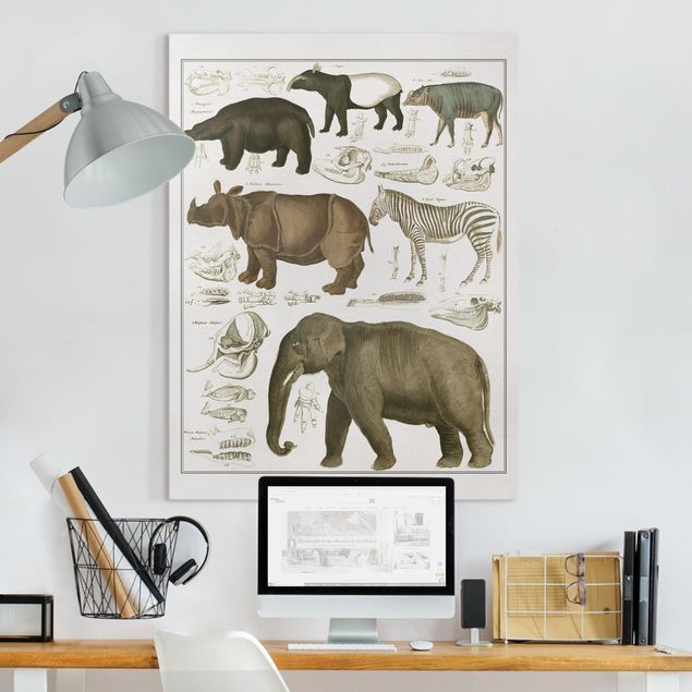 Quadri su tela con elefanti Bacheca Vintage Elefante, zebra e rinoceronte