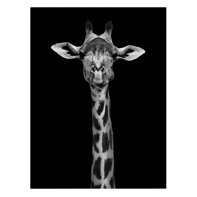 Quadri in bianco e nero Ritratto di giraffa scura