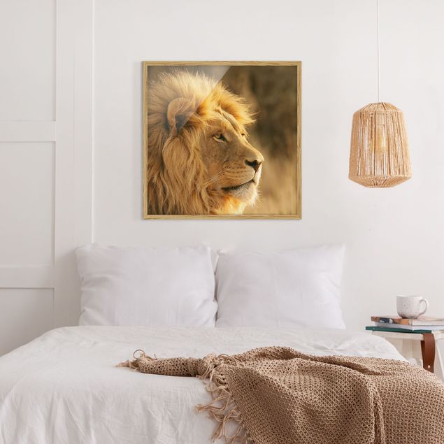 Quadro moderno Lion King