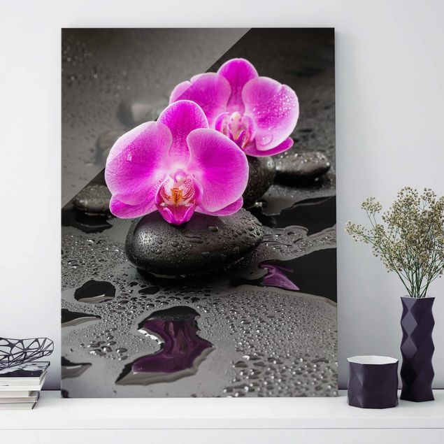 Quadri in vetro con orchidee Fiore di orchidea rosa su pietra con gocce