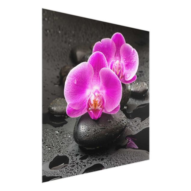 Quadri moderni   Fiore di orchidea rosa su pietra con gocce