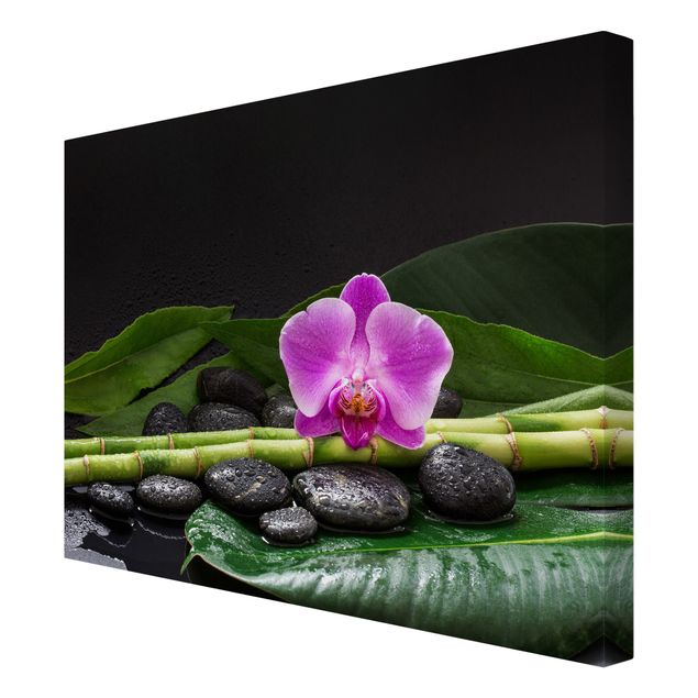 Quadri con fiori Bambù verde con fiore di orchidea