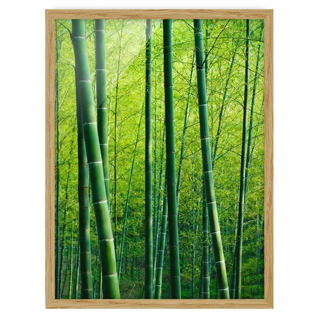 Quadri tridimensionali Foresta di bambù