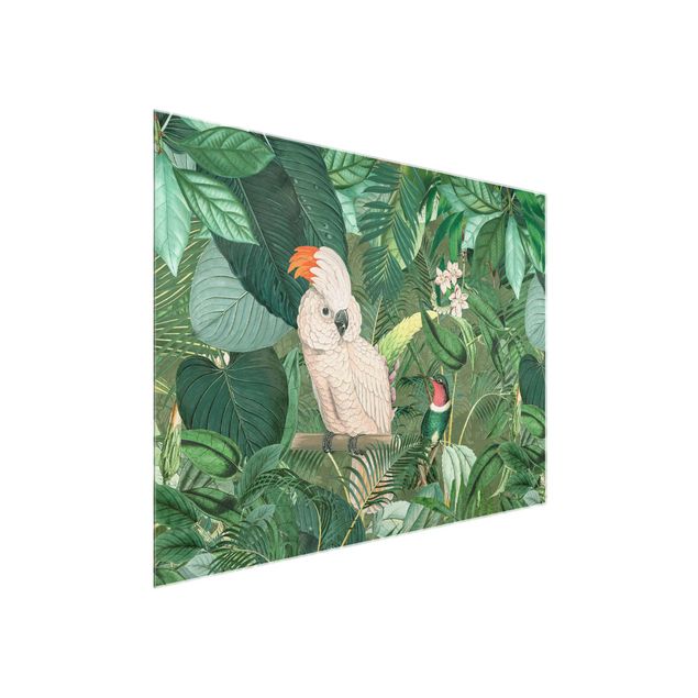 Quadro verde Collage vintage - Cacatua e colibrì
