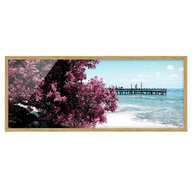 Quadri con alberi Spiaggia Paradiso Isla Mujeres
