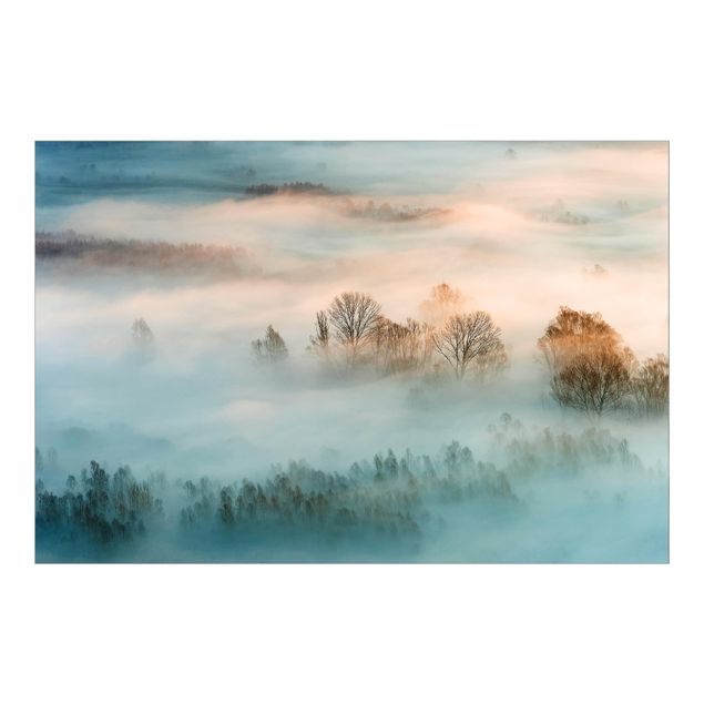 Carta da parati con paesaggi Nebbia all'alba