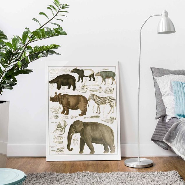 Quadro con elefante Bacheca Vintage Elefante, zebra e rinoceronte
