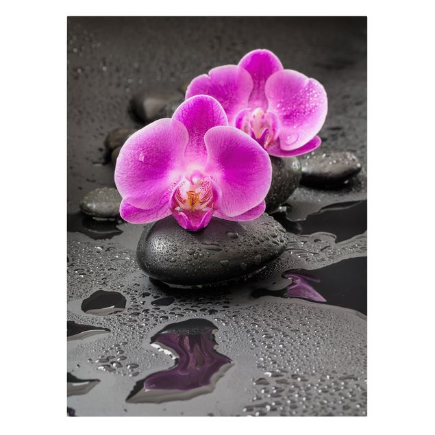 Riproduzioni quadri Fiore di orchidea rosa su pietra con gocce