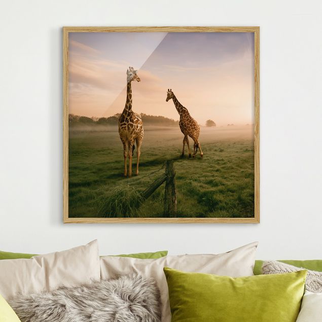 Quadro giraffe Giraffe surreali