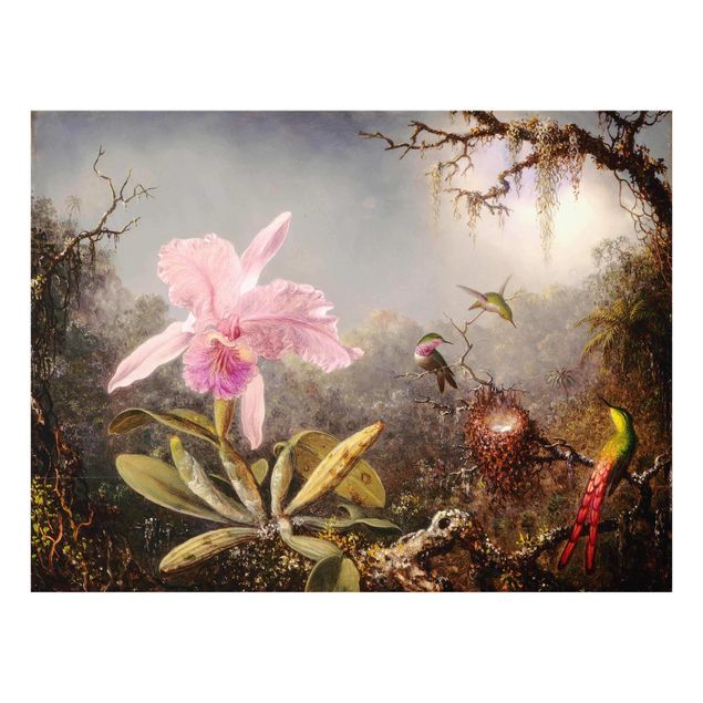 Quadri in vetro con fiori Martin Johnson Heade - Orchidea e tre colibrì