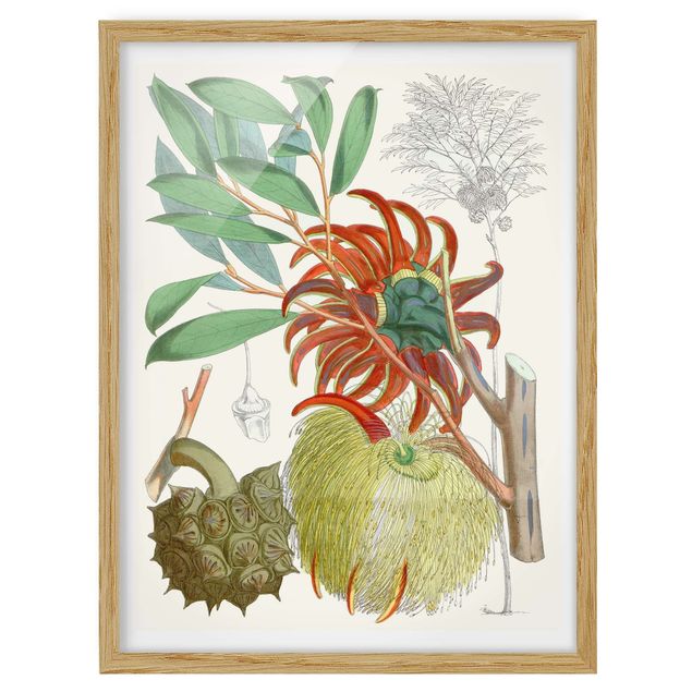 Quadri verdi Illustrazione vintage Fiori tropicali II