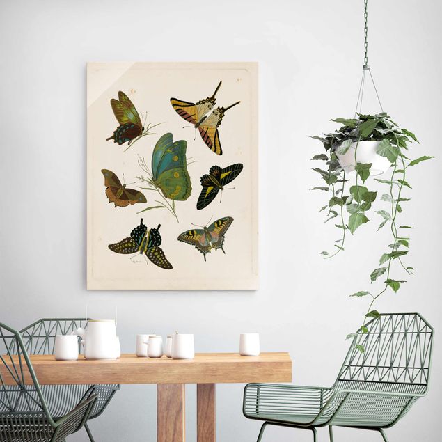 Quadri in vetro con animali Illustrazione vintage Farfalle esotiche