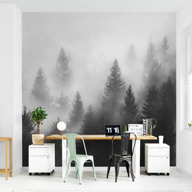 Carte da parati adesive Foresta di conifere nella nebbia Bianco e nero