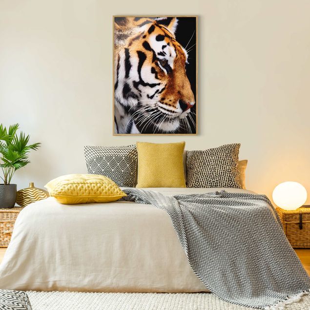 Quadro moderno Bellezza della tigre