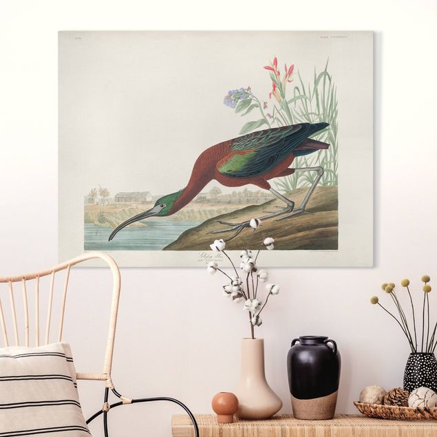 Quadri su tela con uccelli Bacheca vintage Ibis marrone