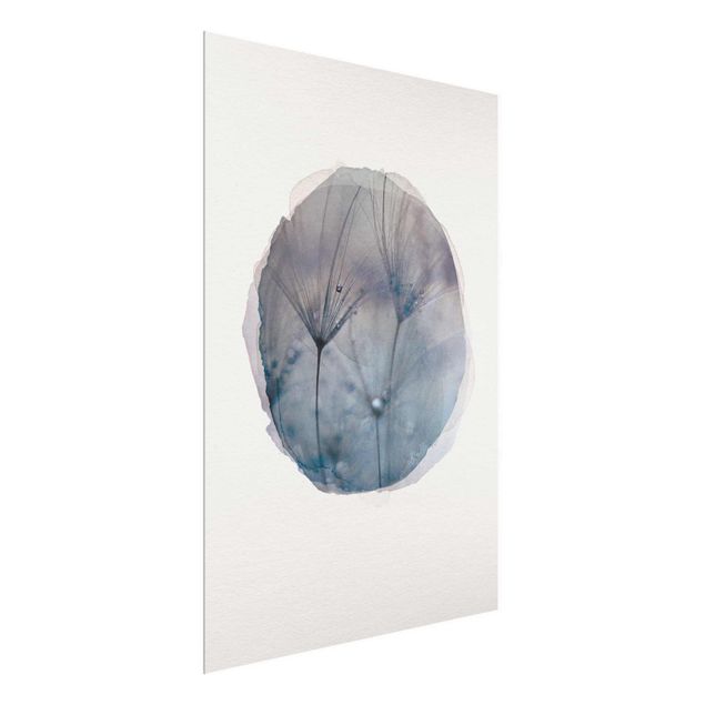 Quadri con fiori Acquerelli - Piume blu sotto la pioggia