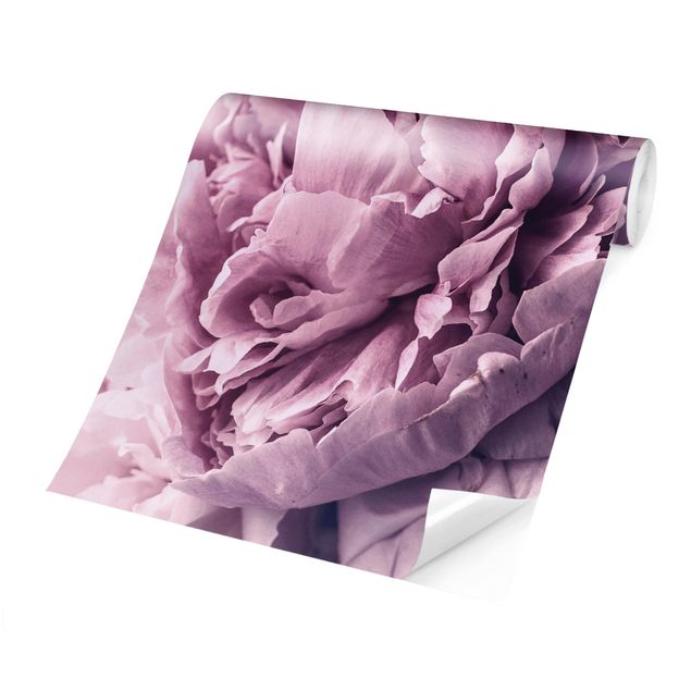 Carte da parati floreali Fiori di peonia viola