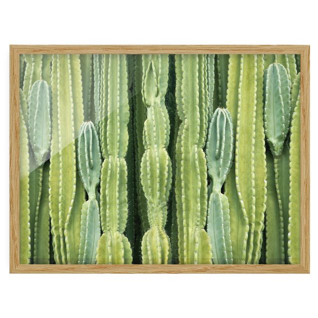 Quadri verdi Muro di cactus