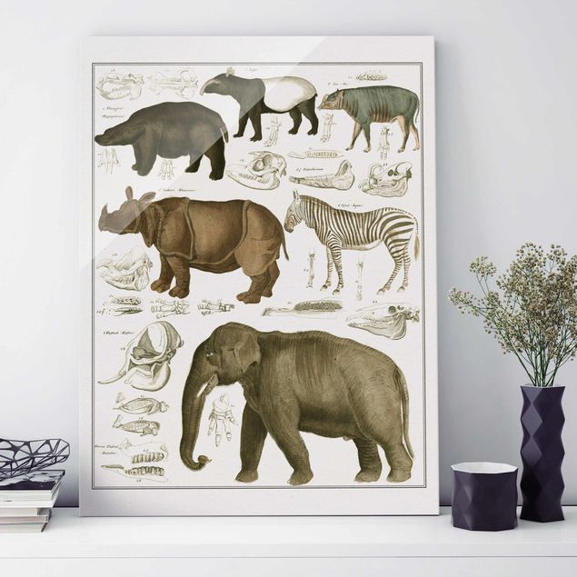 Quadri Africa Bacheca Vintage Elefante, zebra e rinoceronte
