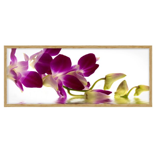 Quadri di fiori Acque di orchidee rosa