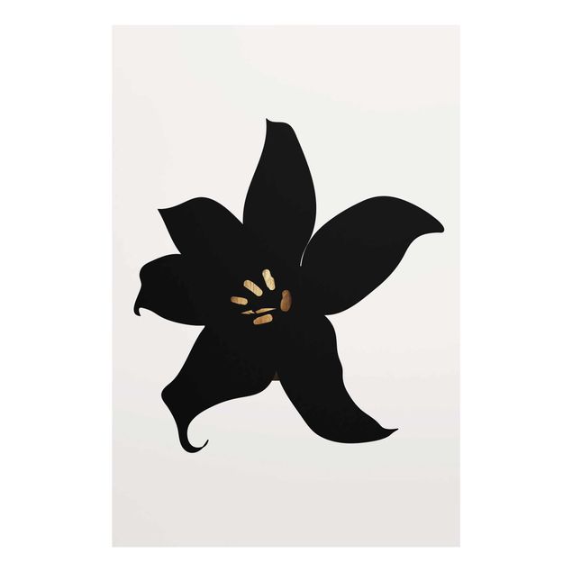Quadri in vetro in bianco e nero Mondo vegetale grafico - Orchidea nera e oro