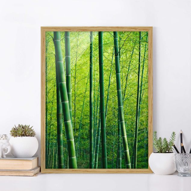 Quadri con paesaggio Foresta di bambù