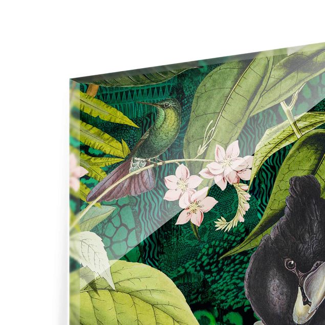 Quadri stampe Collage colorato - Cacatua nella giungla