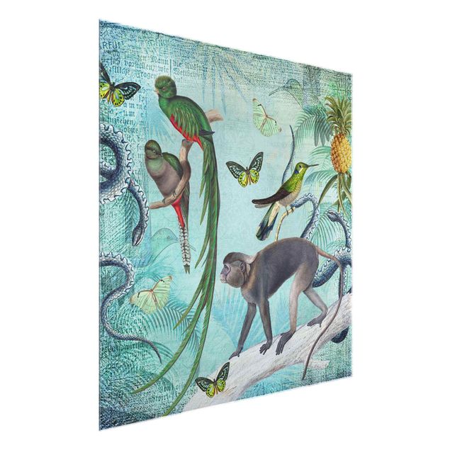 Quadri di fiori Collage in stile coloniale - Scimmie e uccelli del paradiso