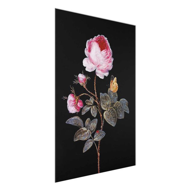 Quadri barocco Barbara Regina Dietzsch - La rosa dai cento petali