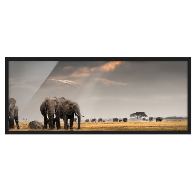 Quadri con cornice con paesaggio Elefanti nella savana