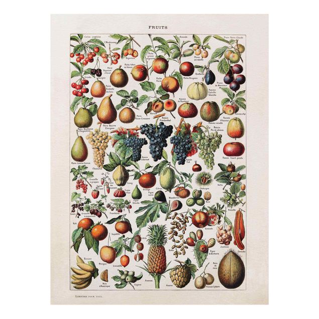 Stampe Bacheca Vintage Frutti