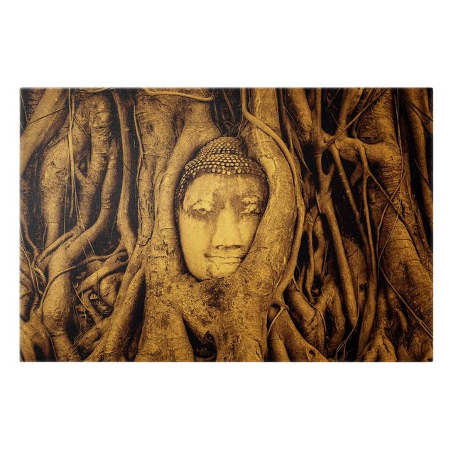 Quadri floreali Buddha ad Ayutthaya rivestito dalle radici degli alberi in marrone