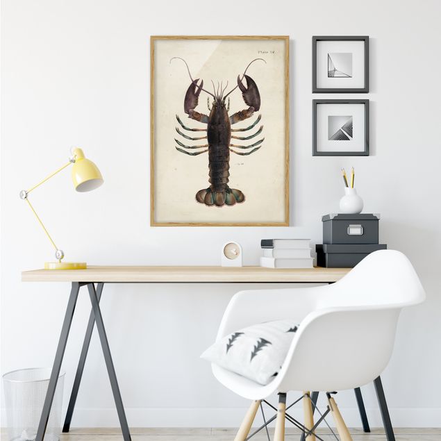 Quadri con cornice con animali Illustrazione vintage dell'aragosta