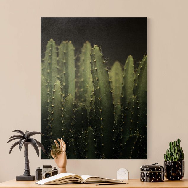 Quadri floreali Cactus del deserto di notte