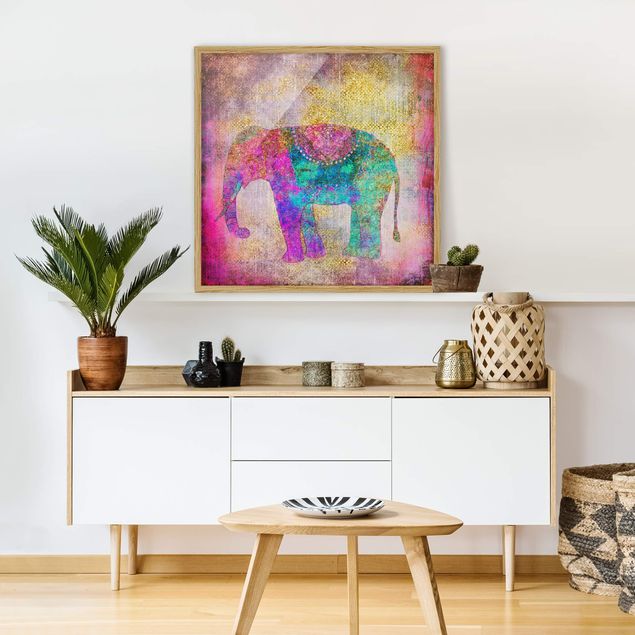 Quadri con cornice con animali Collage colorato - Elefante indiano