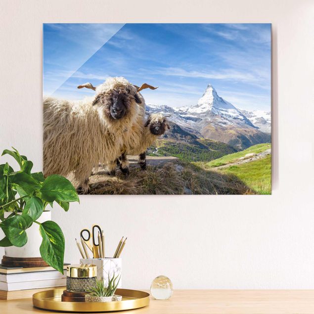 Quadri Svizzera Pecore dal naso nero di Zermatt