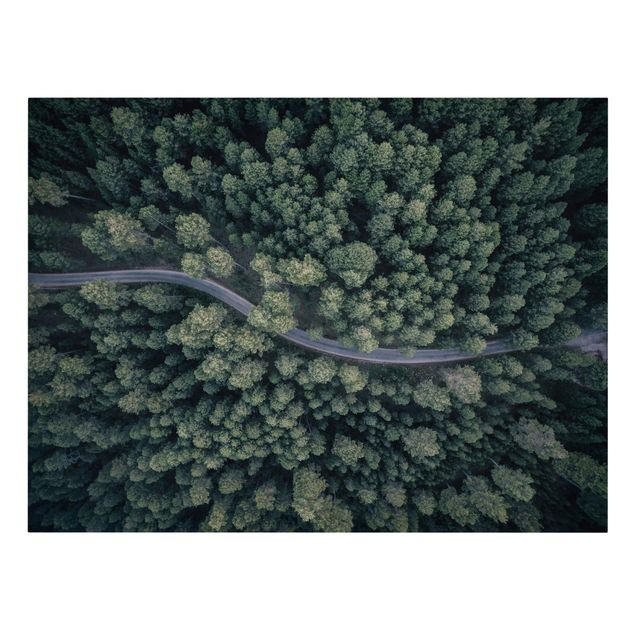 Quadri sulla natura Vista aerea - Strada forestale dall'alto