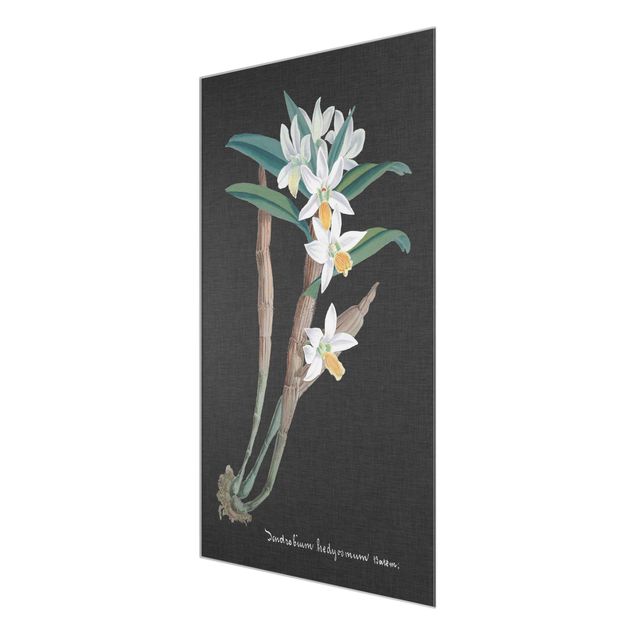 Quadri sfondo nero Orchidea bianca su lino I