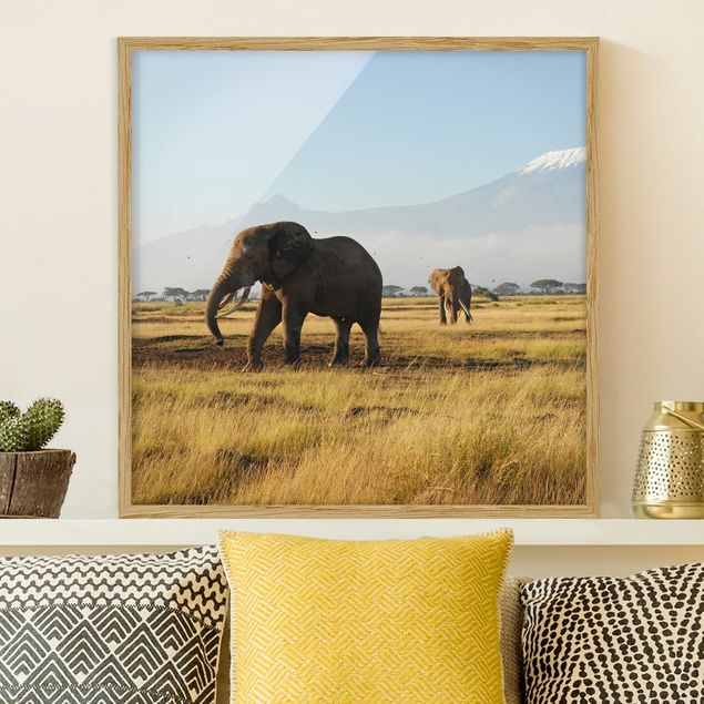 Quadri Africa Elefanti di fronte al Kilimangiaro in Kenya