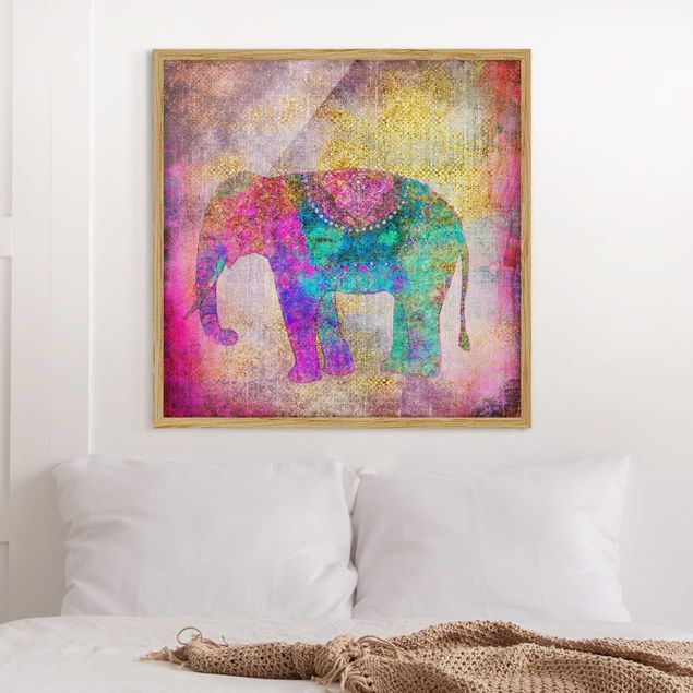 Quadro con elefante Collage colorato - Elefante indiano