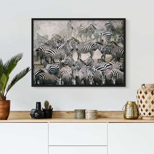 Quadro Africa Branco di zebre