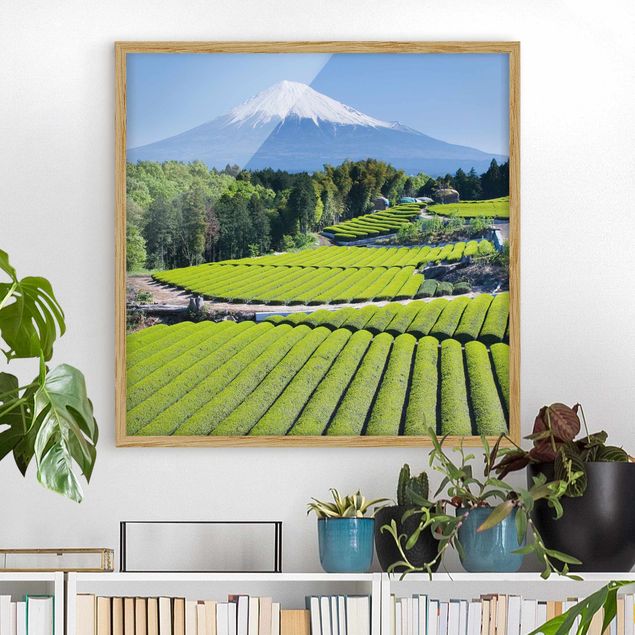 Quadro paesaggio Campi di tè davanti al Fuji